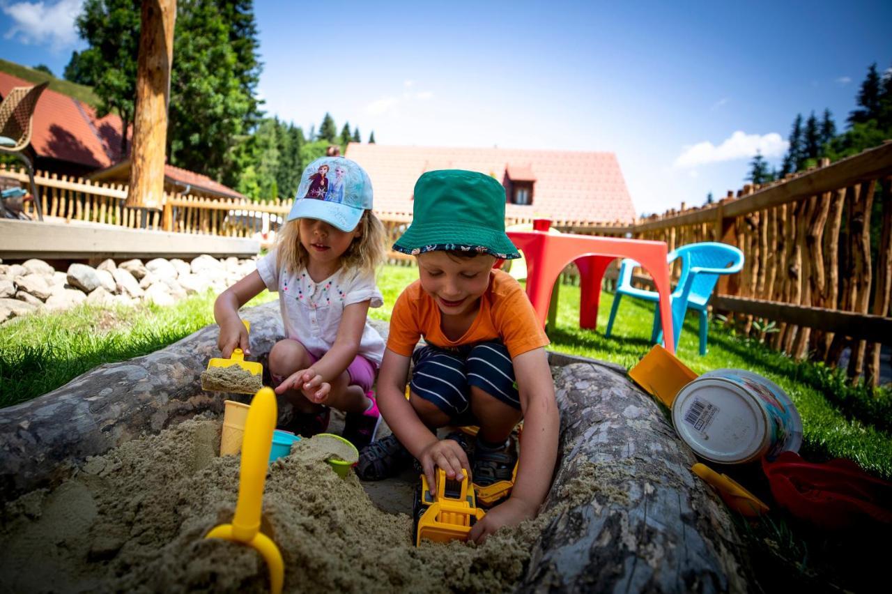 Naturpark Huette Mandl, Biobauernhof & Huettenurlaub Sankt Lambrecht Esterno foto