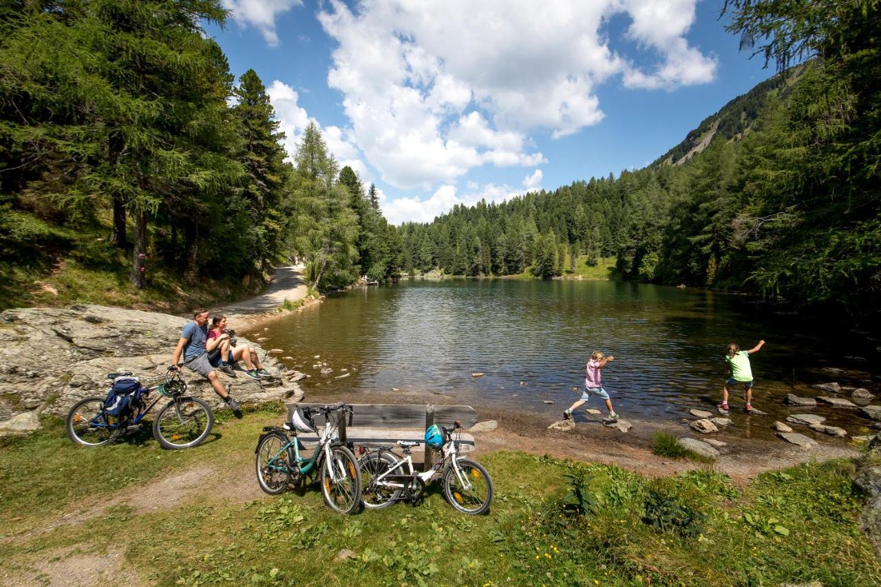 Naturpark Huette Mandl, Biobauernhof & Huettenurlaub Sankt Lambrecht Esterno foto